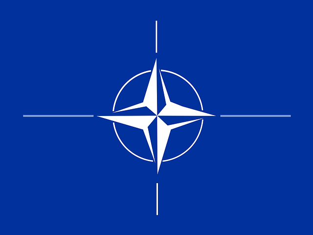 WHAT IS NATO